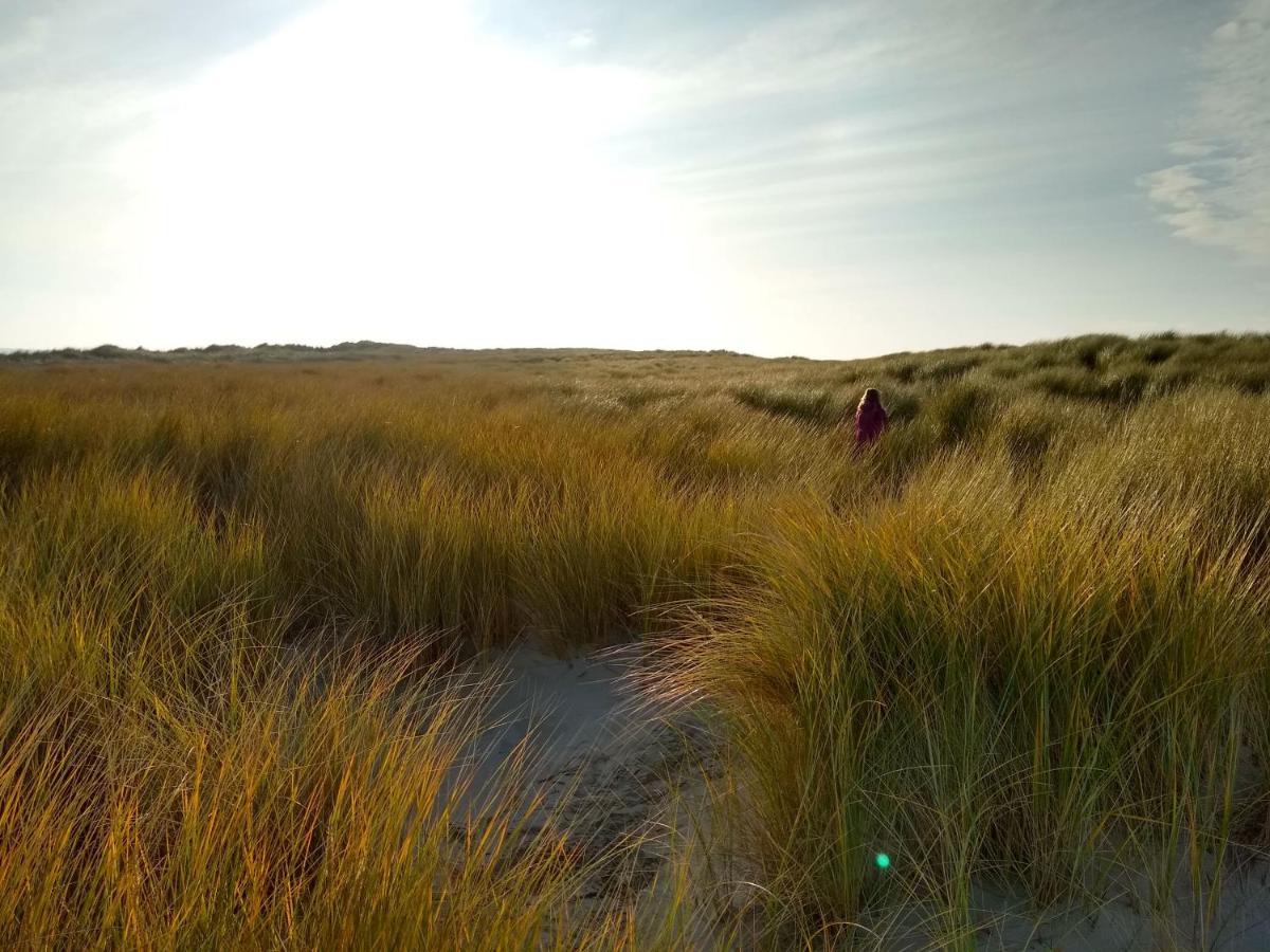 Txl * De Cocksdorp (Texel)